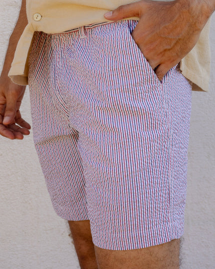 Striped Seersucker Shorts