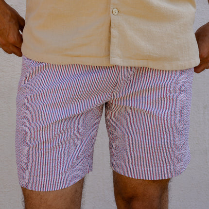 Striped Seersucker Shorts