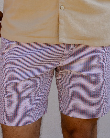 Striped Seersucker Shorts