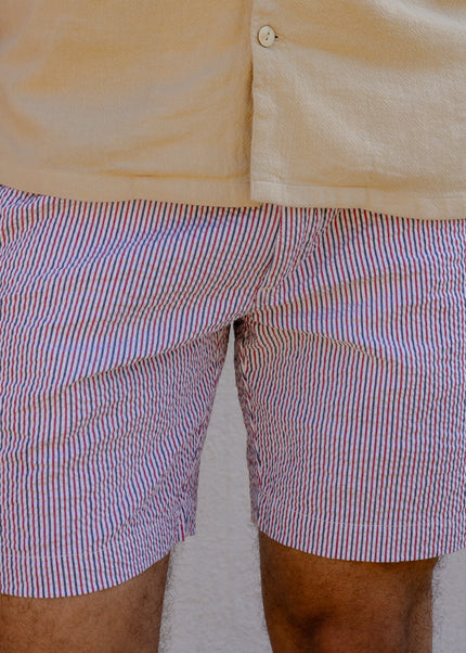 Striped Seersucker Shorts